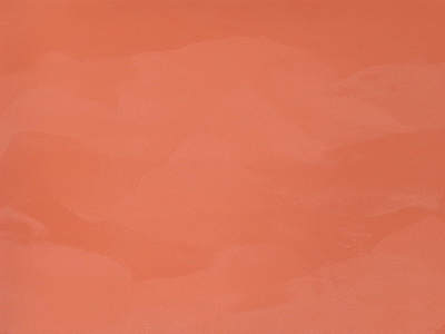 Полуматовая краска с эффектом бархата Decorazza Velours (Велюр) в цвете VL 10-04
